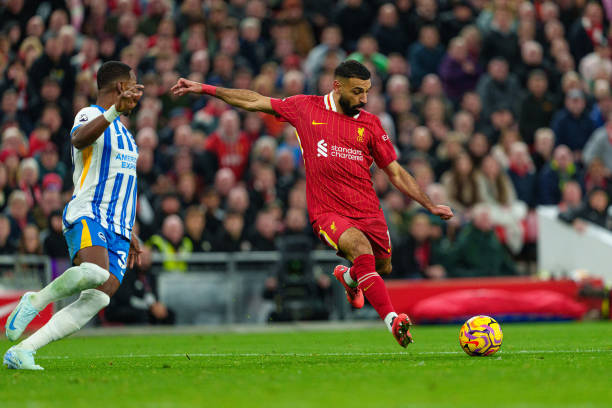 他以稳定的 他以稳定的