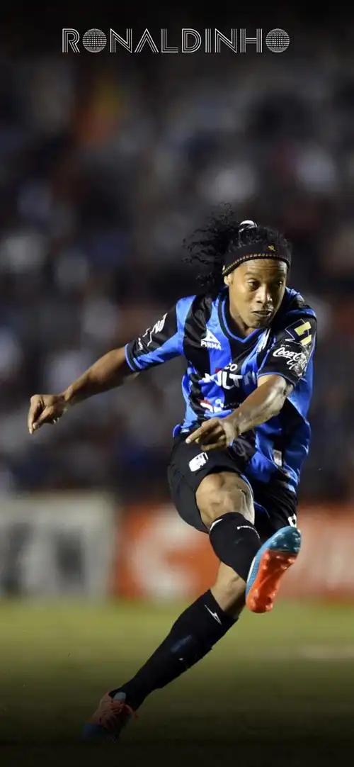 功引入佳夫 功引入佳夫